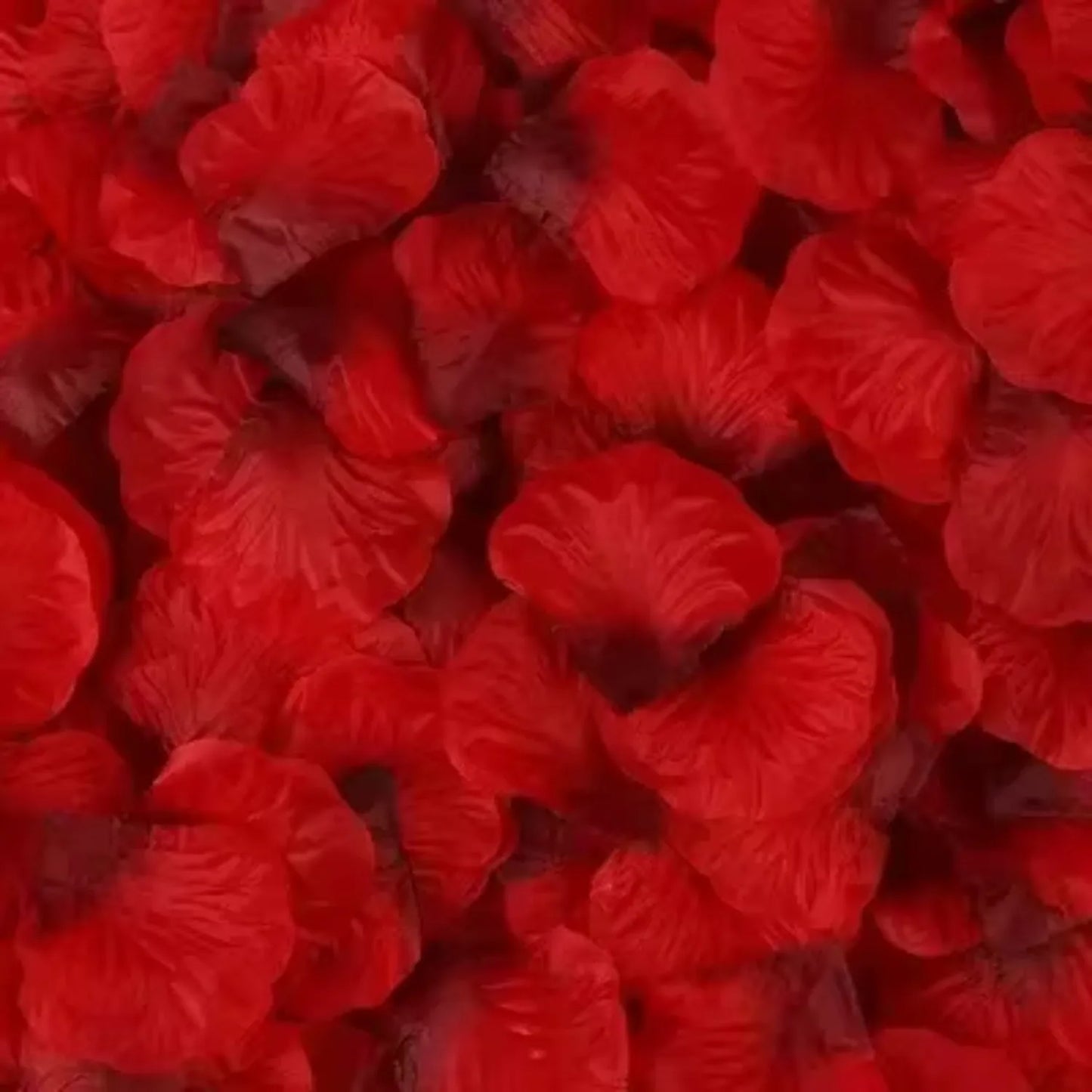 Romantic rose petals